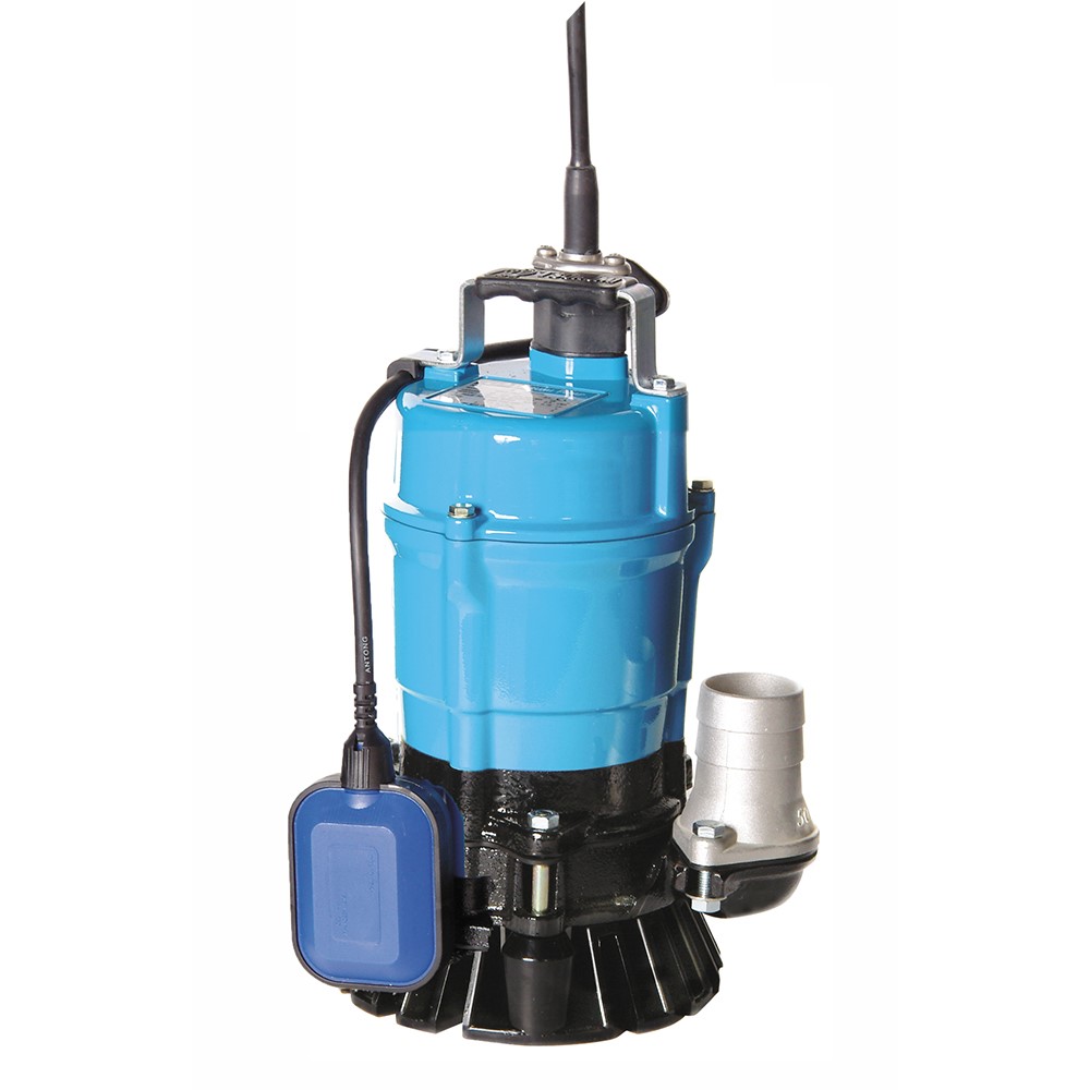 110V Electric Submersible Pump